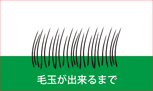 画像の説明文