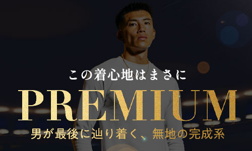 無地の完成形、プレミアムシリーズ