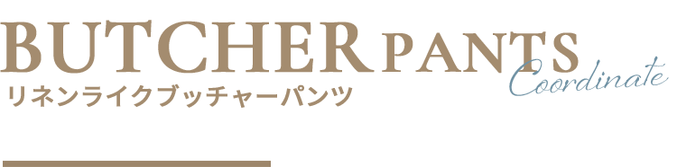 スタイル5のh2