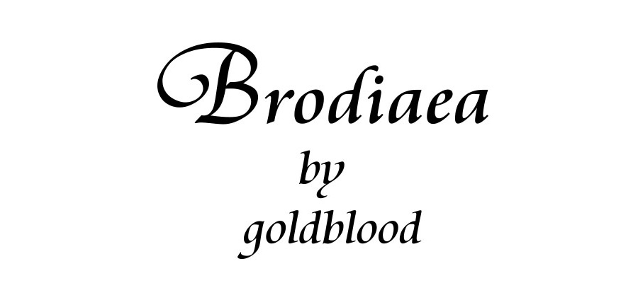 Brodiaea(ブローディア)