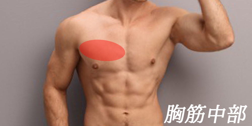 胸筋中部""